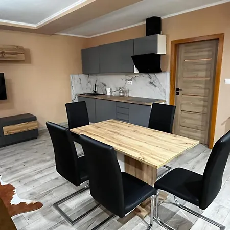 公寓 Apartament U Rzezbiarza Barcice (Nowy Sacz)