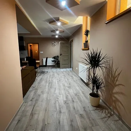 公寓 Apartament U Rzezbiarza *